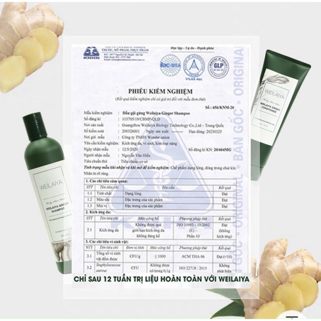 TEST MINI Dầu Gội Gừng, Gừng Hà Thủ Ô Weilaiya Giảm Rụng Tóc, Kích Mọc Tóc Nhanh Hợp Mọi Da Đầu ( gội 20ml + xả 20ml)