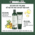 TEST MINI Dầu Gội Gừng, Gừng Hà Thủ Ô Weilaiya Giảm Rụng Tóc, Kích Mọc Tóc Nhanh Hợp Mọi Da Đầu ( gội 20ml + xả 20ml)