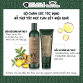 TEST MINI Dầu Gội Gừng, Gừng Hà Thủ Ô Weilaiya Giảm Rụng Tóc, Kích Mọc Tóc Nhanh Hợp Mọi Da Đầu ( gội 20ml + xả 20ml)